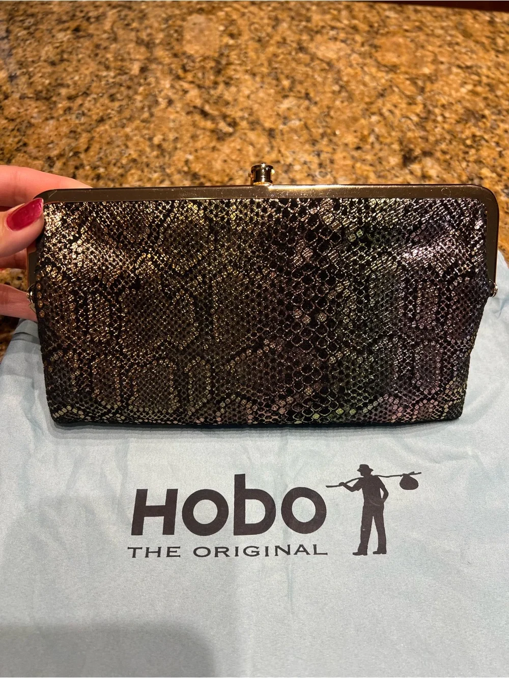 HOBO Iridescent Snake-Embossed Clutch in Brown and Black